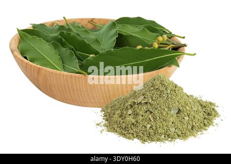 Fresh Laurel leaves and ground Laurel leaves isolated on white background. Green bay leaf Stock Photo