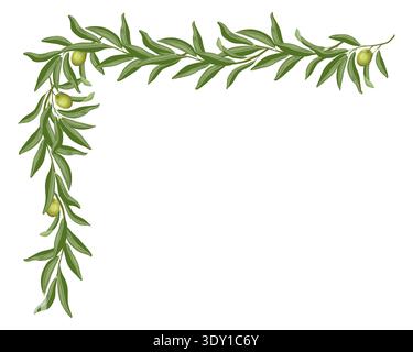 Olive branch with leaves corner composition vector illustration. Hand drawn arrangement with tree twig in botanical style. Healthy organic ingredient for menu design. Perfect for natural packaging. Stock Vector