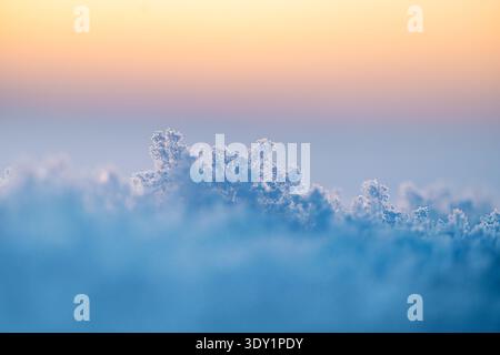 Macro frozen snowflake crystals in snow. Cold winter background with frost texture. Stock Photo