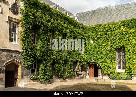 Ivy-covered stone college building in Oxford with gothic windows in a sunny courtyard, England Stock Photo