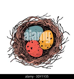Bird nest with eggs. Easter hand drawn vector illustration, template design Stock Vector