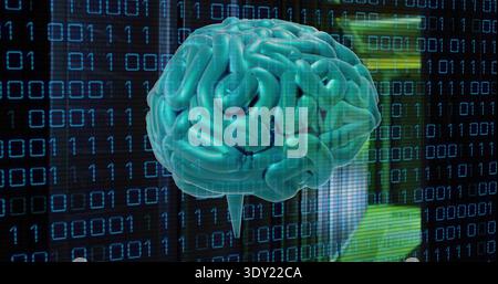Floating 3D teal brain model hovering over virtual data backdrop, showing binary streams and panels. Neural, cortex, translucent, grid, cyan, blue, in Stock Photo