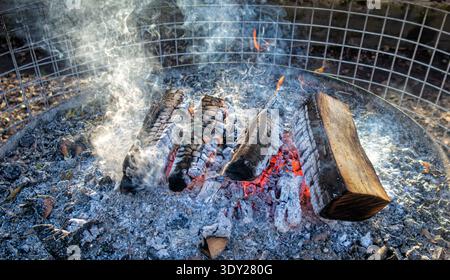 Burning logs in fire pit - United Kingdom Stock Photo