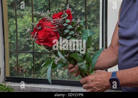 Person holding fresh red roses with eucalyptus, giving a thoughtful romantic gift Stock Photo