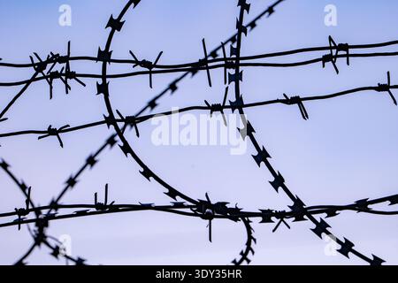 Barbed razor wire creating a silhouette against a clear blue sky Stock Photo