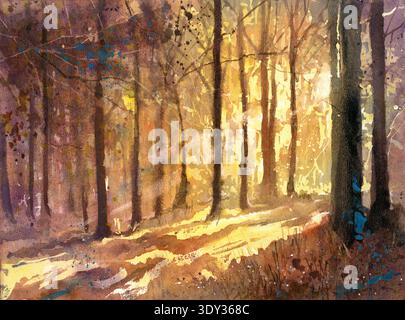 Forest sunset suns rays in colorful landscape watercolor painting art for house interior design handmade item Stock Photo