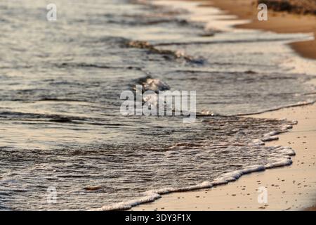 Close-up view of tranquil ocean waves with delicate foam patterns receding onto a warm sandy beach during the golden hour. The soft light illuminates Stock Photo