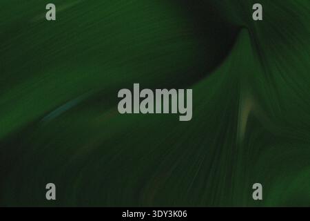 Gradient Teal and Black Abstract Waves Stock Photo
