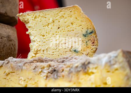 Artisan blue cheese slice displaying creamy texture and delicate mold veins Stock Photo