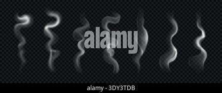 Rising, wavy steam isolated on transparent background Stock Vector