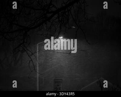 Snow falls through the beam of a streetlight on a quiet winter night, framed by tree branches and a speed limit sign Stock Photo