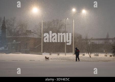 Heavy snowfall, frost and blizzard in city, unrecognizable person walking dog outdoors in park area. Stock Photo