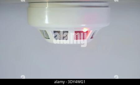 Close-up of a ceiling-mounted smoke detector with a red warning light, fire safety device monitoring indoor Stock Photo