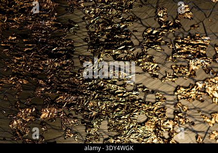 Golden decorative background in reflective texture. Golden shimmering texture on foil surface. Golden abstract gold wallpaper for premium. Golden Stock Photo