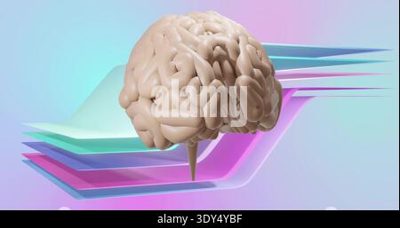 Floating stylized brain hovering over abstract studio, with tapered brainstem and pastel panels Stock Photo