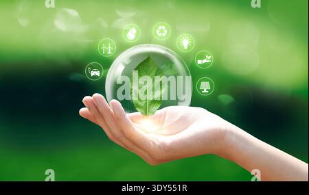 Hand holding green leaf with plant environment icon, Save world, sustainable environment concept. Stock Photo