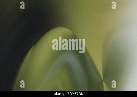A close up shot showcasing the vibrant green hues and soft textures of a plant leaf in natural light Stock Photo