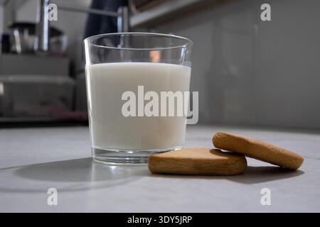 One glass filled with fresh white milk stands beside two rectangular light brown cookies on a smooth, light gray kitchen countertop. Stock Photo