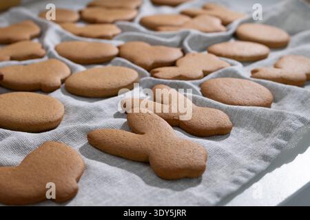 Warm gingerbread cookies shaped as Easter bunnies and eggs cool on a pale linen cloth. Stock Photo