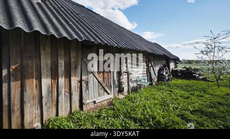 Old wooden barn with firewood and blooming tree in a slavic village Stock Photo
