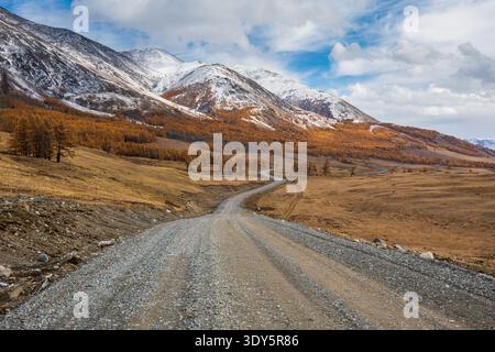 Winding gravel road leads through autumn foothills, snow capped peaks and golden larch forests under dramatic cloudy sky. Stock Photo