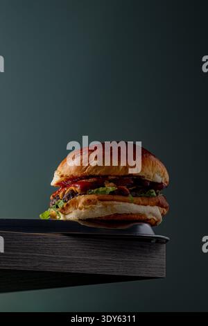 Burger on a dark background isolated with space for text Stock Photo
