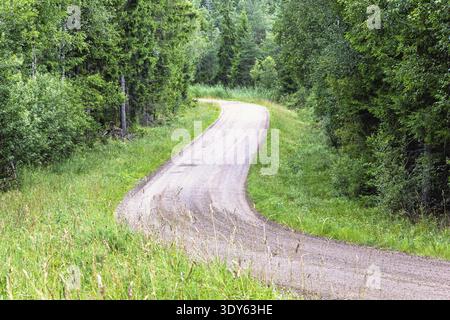 Empty winding gravel road through a lush green forest lined with trees a tranquil woodland scene in the summer Stock Photo