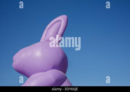 Giant inflatable purple Easter bunny head with the background of a clear blue sky. Easter celebration decoration in the city Stock Photo
