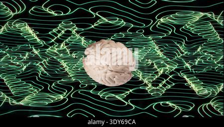 Floating pale beige anatomical brain model hovering above black void, with neon green contour grid Stock Photo
