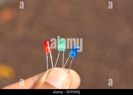 Multi colored light emitting diodes unlit and its connecting pins held in the hand on natural light background Stock Photo