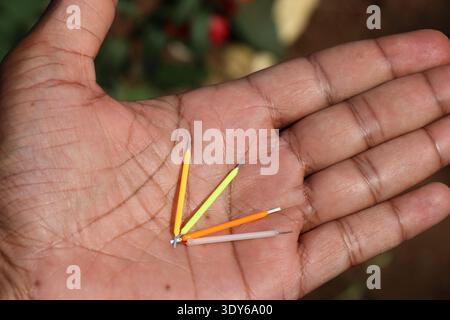 Filaments of various color used inside LED bulbs held in the hand on natural light Stock Photo