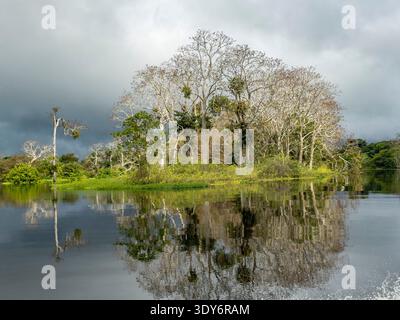 Foliage along the shoreline of a national park deep inside Pacaya Samiria Preserve in Peru with water reflections and overcast sky Stock Photo