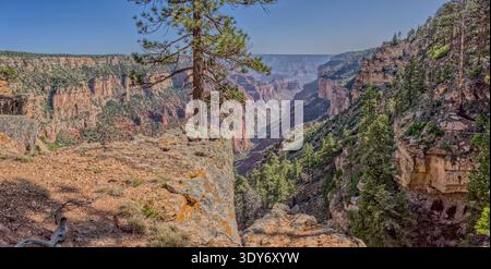 Dry waterfall on Clear Creek Canyon at Grand Canyon North Rim Arizona shows rock formations and trees in the distance under bright sky Stock Photo