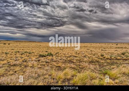 Storm clouds gather over prairie grassland creating a dramatic scene in northern Arizona near Wupatki National Monument Stock Photo