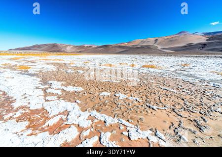 Cracked dry land shows patterns under the bright sky in a remote location of Argentina Stock Photo