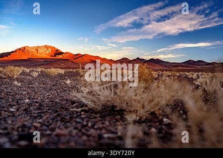 High desert landscape showcasing natural rock formations and plants in the Puna region of Argentina during sunset Stock Photo