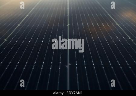 Detailed view of solar cells with sunlight reflecting on the surface, showcasing renewable energy technology Stock Photo