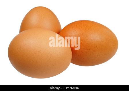 Three brown chciked eggs isolated on white background Stock Photo