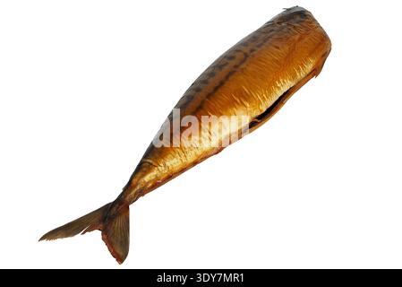 Smoked mackerel fish isolated on white background Stock Photo