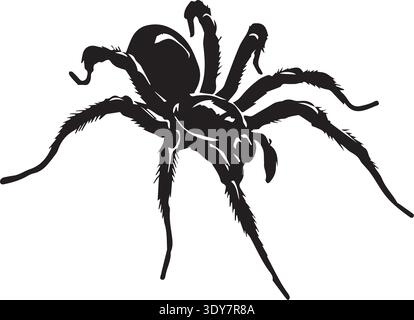 Detailed black spider illustration with hairy legs, glossy abdomen, white background. Stock Vector