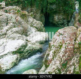 Mountain river flowing through the rocks. Landscape with a mountain river. Stock Photo