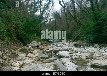 River flowing through the mountain  forest in winter Stock Photo