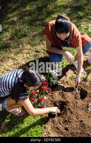 African American woman arranging flowers Stock Photo - Alamy