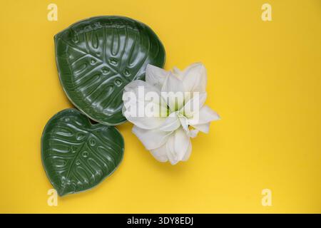 White flower with green ceramic leaf plates on bright yellow background, minimal botanical flat lay composition. Stock Photo