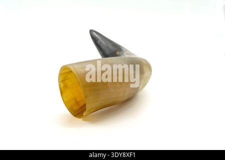 Horn cup lying on white background, vintage drinking horn cup made of polished animal horn, front rim visible, tapered dark tip, studio lighting Stock Photo