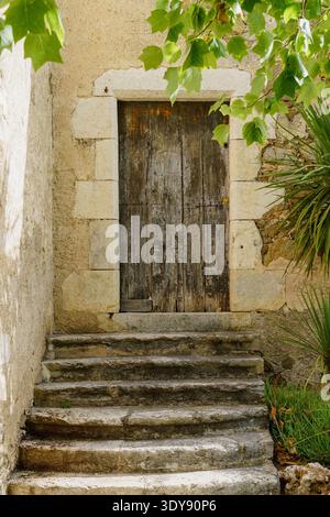 Old wooden door worn out by the passage of time and staircase to the house Stock Photo