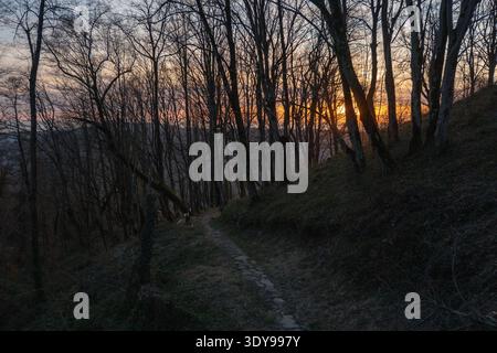 Forest trail on hillside at sunset near Exarcho farm in Matsesta area, narrow path winding through leafless trees with warm evening light between Stock Photo