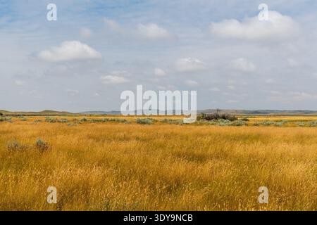 The mixed grass prairie reaches toward a distant horizon of buttes, with blue sky and soft clouds adding depth to the scene. Stock Photo