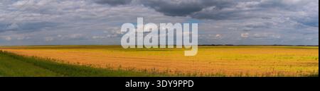 A wide sweep of golden prairie fields stretches across the Fort Qu’Appelle Valley, lying under a dark sky. Stock Photo
