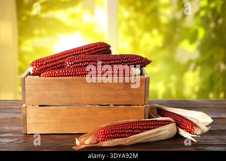 Red corn cobs in crate on wooden table indoors Stock Photo